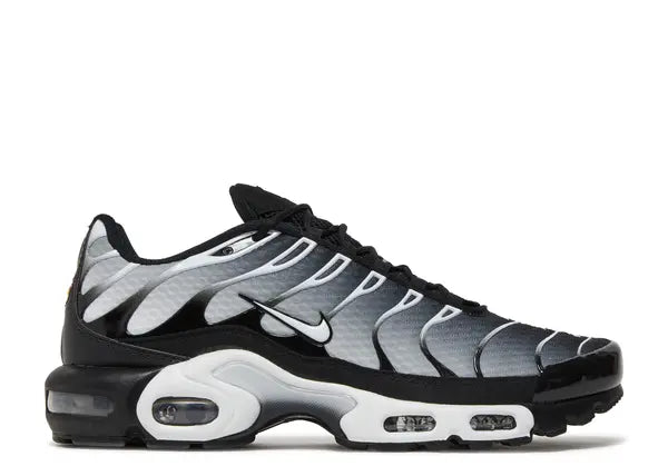 Nike Air Max Plus 'Black Metallic Silver'
